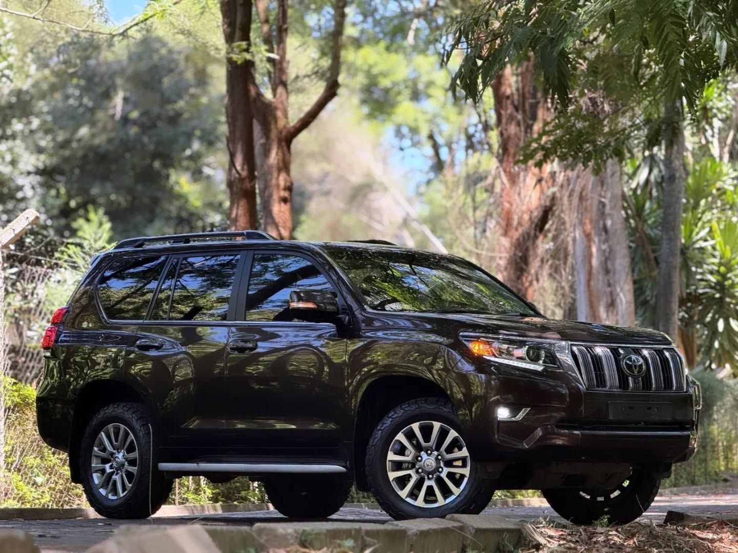 Toyota Prado TX